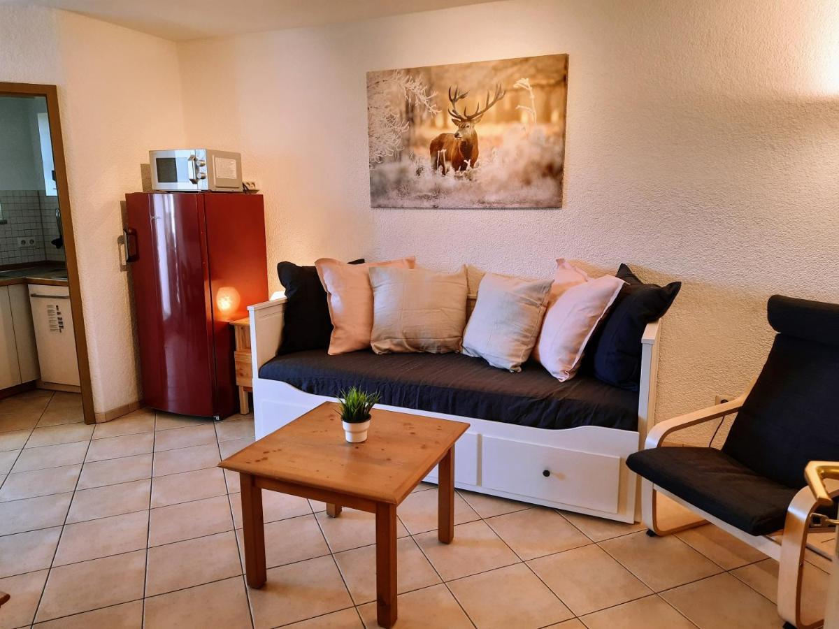 Residenz Schauinsland, Ganzes Appartement, Sauna Todtnau Dış mekan fotoğraf