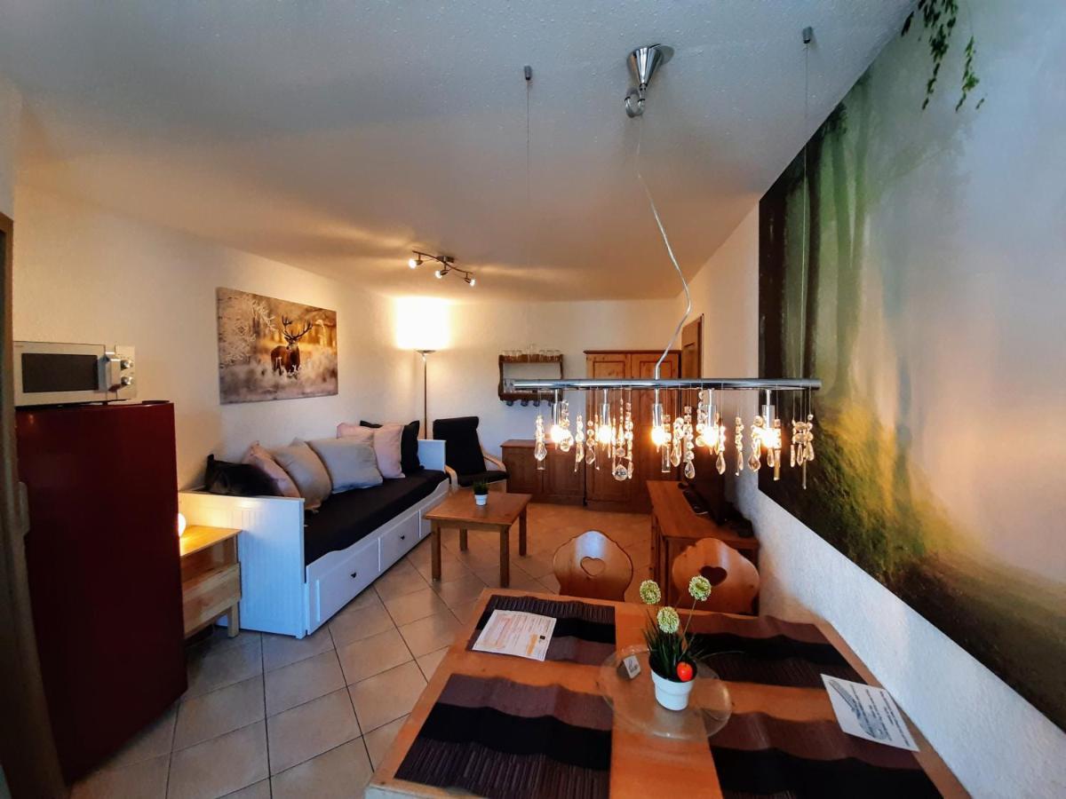 Residenz Schauinsland, Ganzes Appartement, Sauna Todtnau Dış mekan fotoğraf