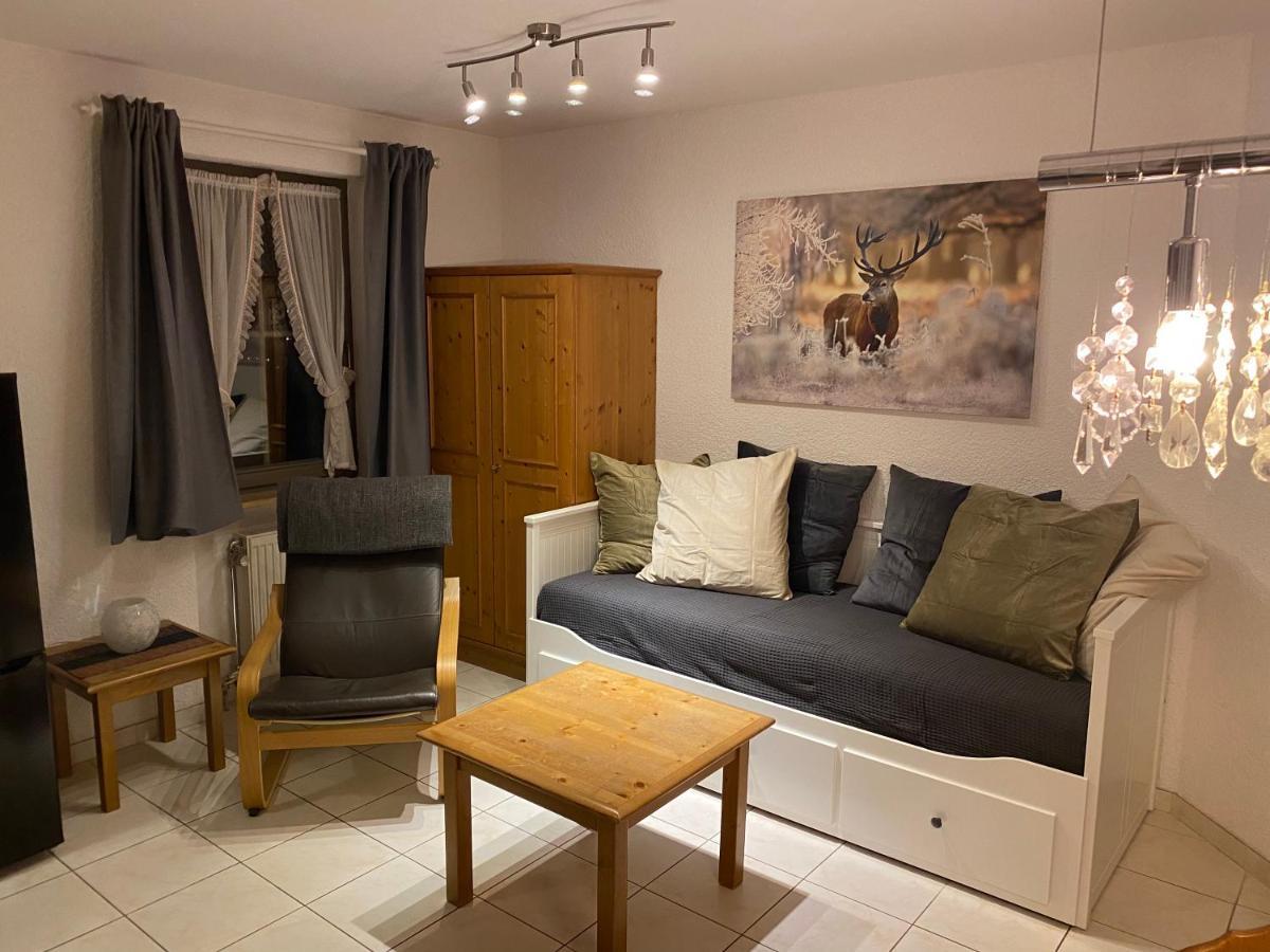 Residenz Schauinsland, Ganzes Appartement, Sauna Todtnau Dış mekan fotoğraf
