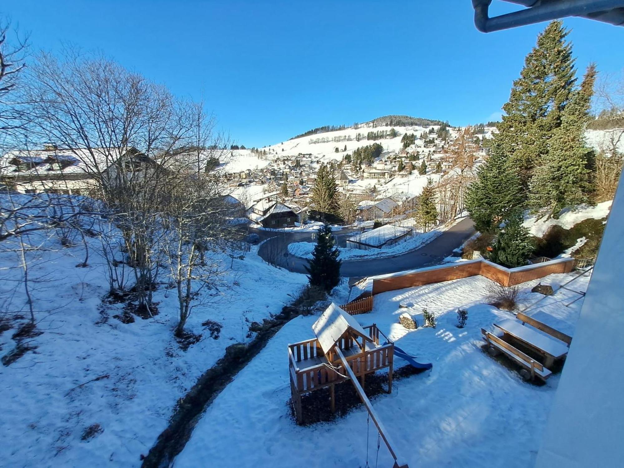 Residenz Schauinsland, Ganzes Appartement, Sauna Todtnau Dış mekan fotoğraf