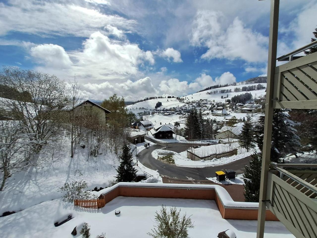 Residenz Schauinsland, Ganzes Appartement, Sauna Todtnau Dış mekan fotoğraf