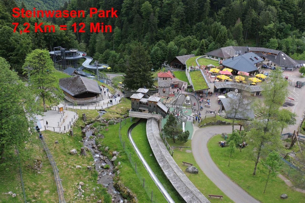 Residenz Schauinsland, Ganzes Appartement, Sauna Todtnau Dış mekan fotoğraf