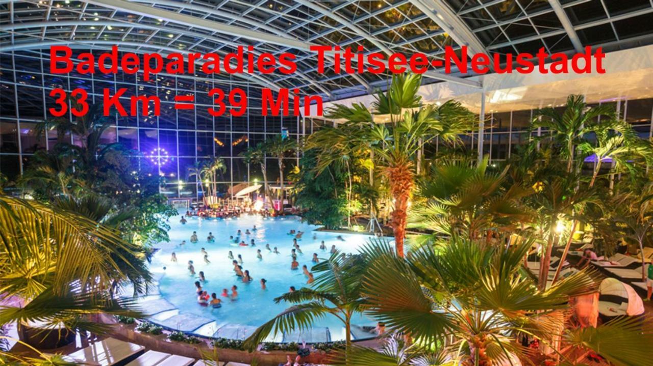 Residenz Schauinsland, Ganzes Appartement, Sauna Todtnau Dış mekan fotoğraf