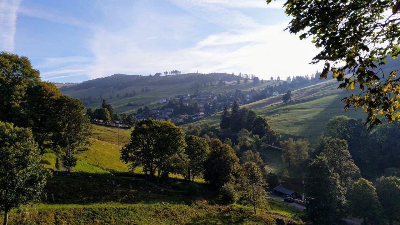 Residenz Schauinsland, Ganzes Appartement, Sauna Todtnau Dış mekan fotoğraf